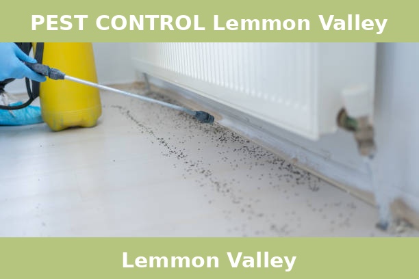 PEST CONTROL Lemmon Valley